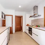 Manresa فيلة *